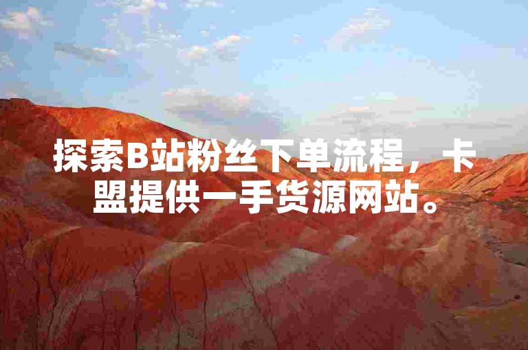 探索B站粉丝下单流程，卡盟提供一手货源网站。