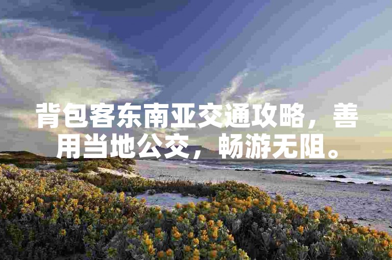 背包客东南亚交通攻略，善用当地公交，畅游无阻。