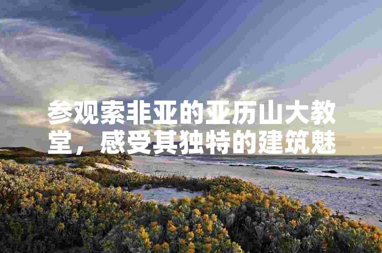 参观索非亚的亚历山大教堂，感受其独特的建筑魅力。
