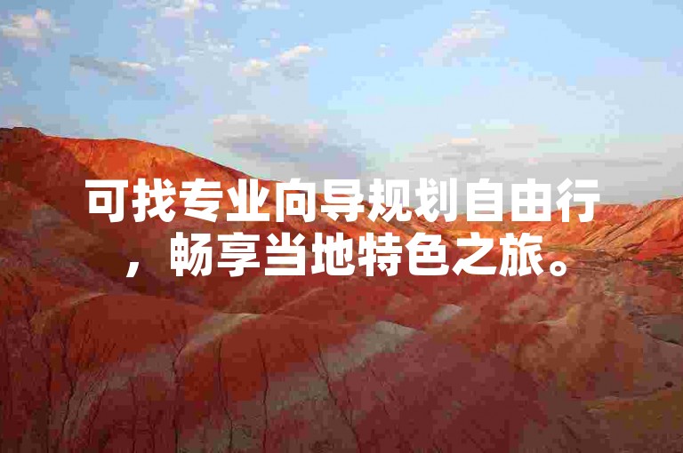 可找专业向导规划自由行，畅享当地特色之旅。