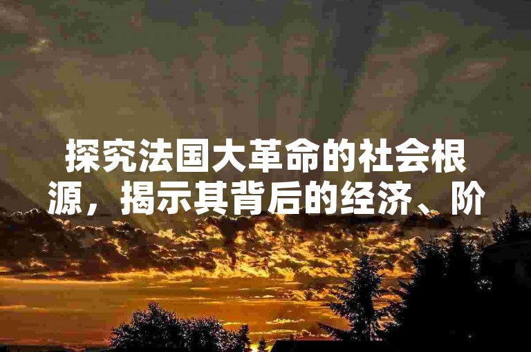 探究法国大革命的社会根源，揭示其背后的经济、阶级与政治因素。