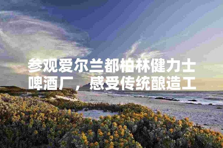 参观爱尔兰都柏林健力士啤酒厂，感受传统酿造工艺。