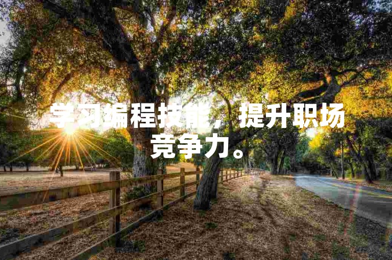学习编程技能，提升职场竞争力。