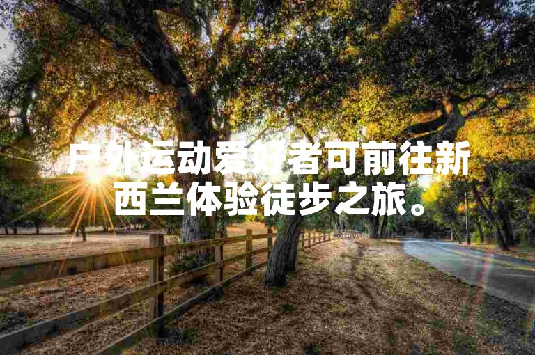 户外运动爱好者可前往新西兰体验徒步之旅。
