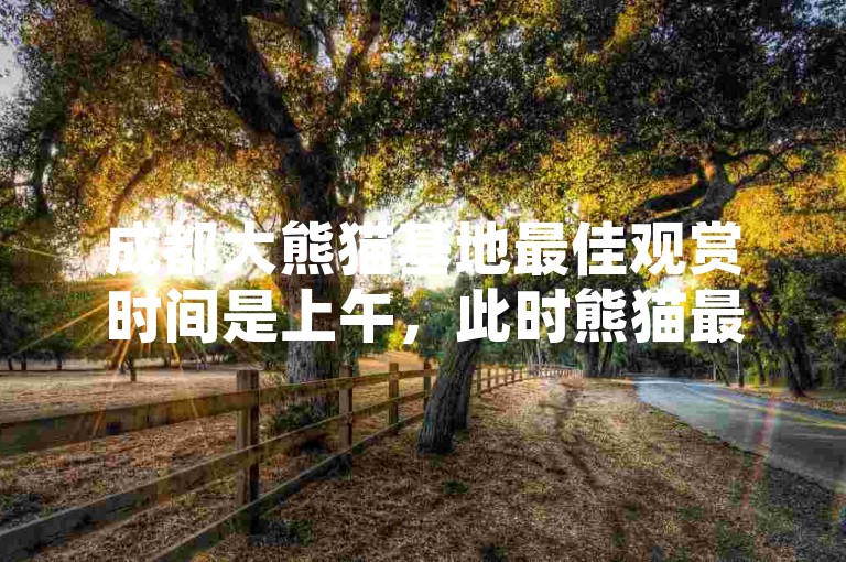 成都大熊猫基地最佳观赏时间是上午，此时熊猫最活跃。