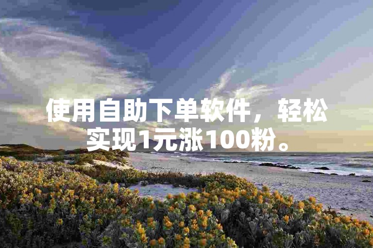 使用自助下单软件，轻松实现1元涨100粉。