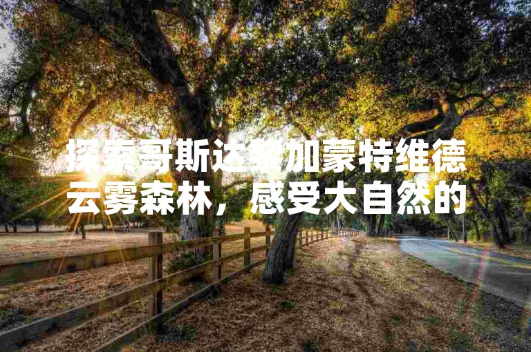 探索哥斯达黎加蒙特维德云雾森林，感受大自然的神秘魅力。