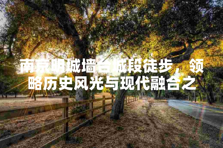 南京明城墙台城段徒步，领略历史风光与现代融合之美。