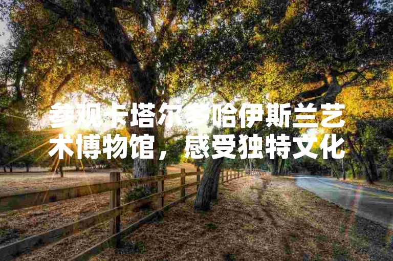 参观卡塔尔多哈伊斯兰艺术博物馆，感受独特文化魅力。