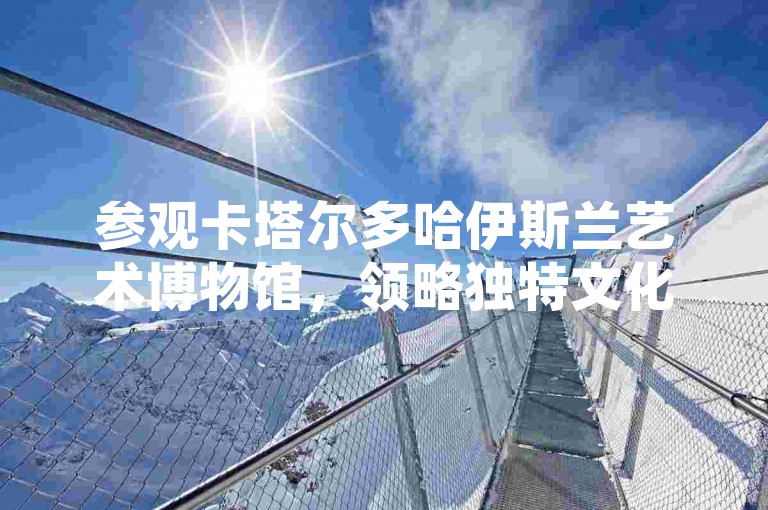 参观卡塔尔多哈伊斯兰艺术博物馆，领略独特文化魅力。
