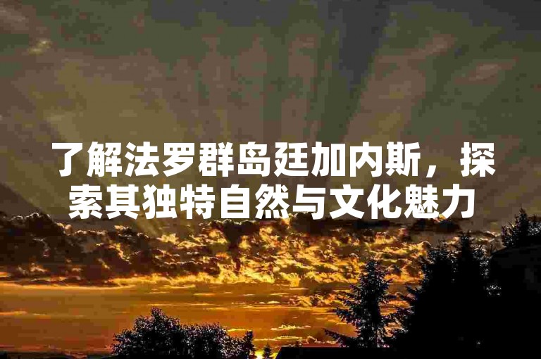 了解法罗群岛廷加内斯，探索其独特自然与文化魅力。