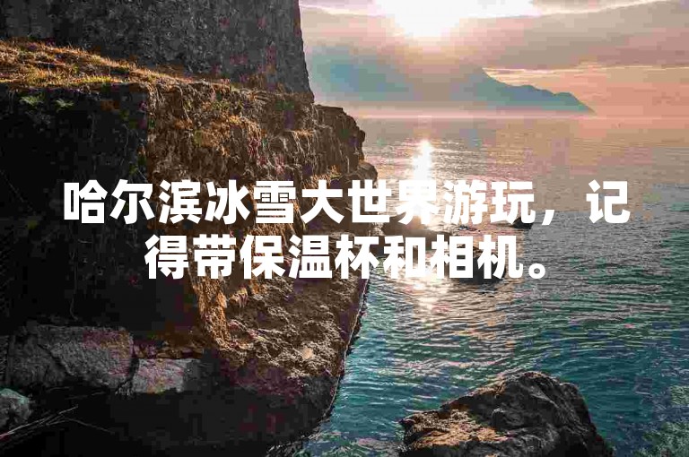 哈尔滨冰雪大世界游玩，记得带保温杯和相机。