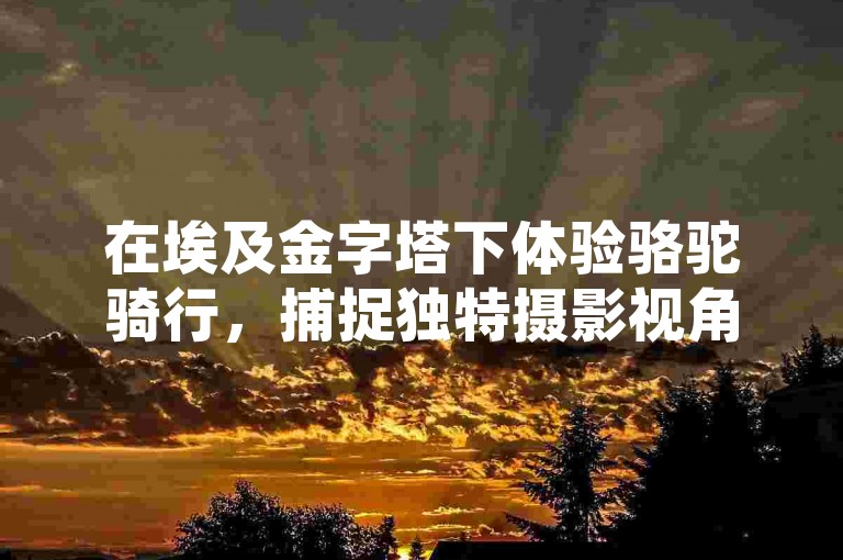 在埃及金字塔下体验骆驼骑行，捕捉独特摄影视角。