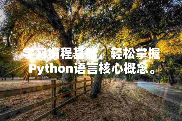 学习编程基础，轻松掌握Python语言核心概念。