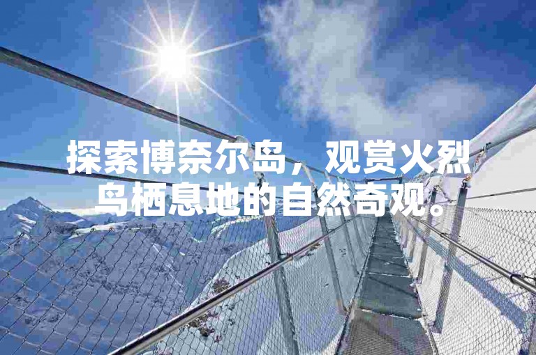 探索博奈尔岛,观赏火烈鸟栖息地的自然奇观。