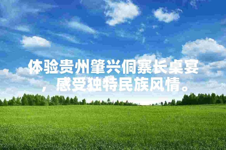 体验贵州肇兴侗寨长桌宴，感受独特民族风情。
