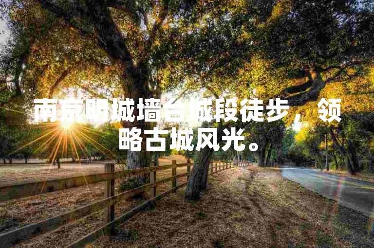 南京明城墙台城段徒步，领略古城风光。