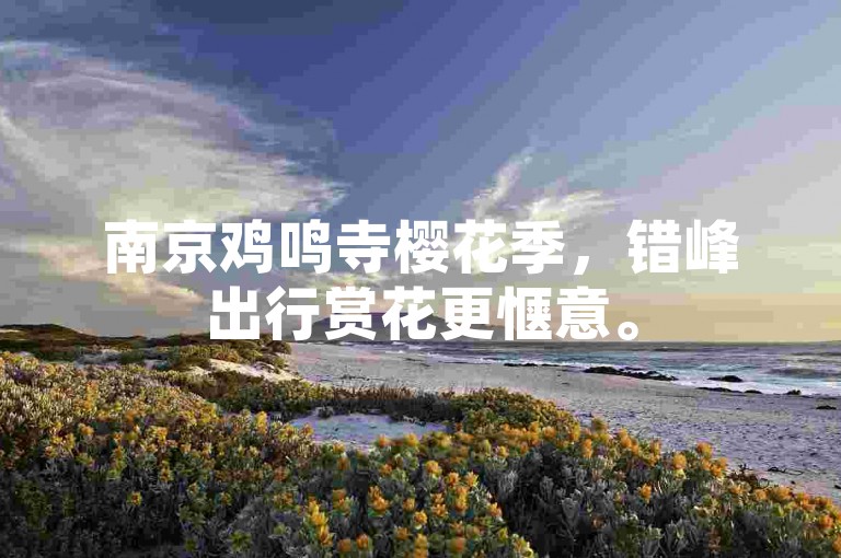 南京鸡鸣寺樱花季，错峰出行赏花更惬意。