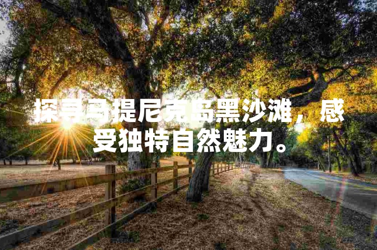 探寻马提尼克岛黑沙滩，感受独特自然魅力。