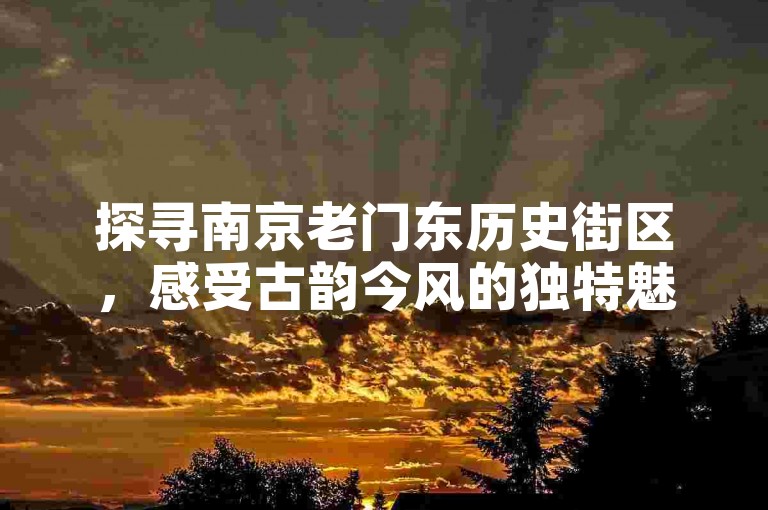 探寻南京老门东历史街区，感受古韵今风的独特魅力。