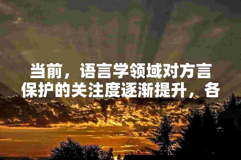 当前，语言学领域对方言保护的关注度逐渐提升，各方正积极采取措施以保存和传承这一珍贵的文化遗产。