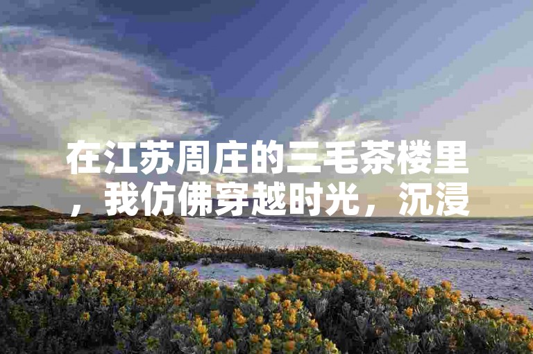 在江苏周庄的三毛茶楼里，我仿佛穿越时光，沉浸在那怀旧的氛围中。
