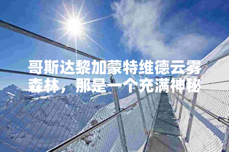 哥斯达黎加蒙特维德云雾森林，那是一个充满神秘与奇幻色彩的生态奇境。