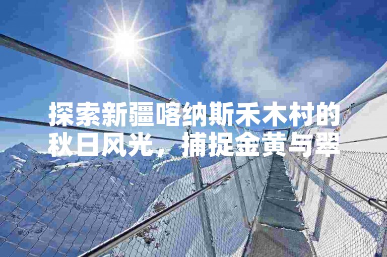 探索新疆喀纳斯禾木村的秋日风光，捕捉金黄与翠绿交织的绝美画卷。