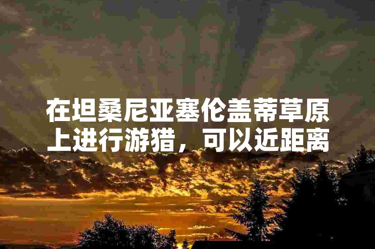 在坦桑尼亚塞伦盖蒂草原上进行游猎，可以近距离观赏到壮观的野生动物迁徙场景。