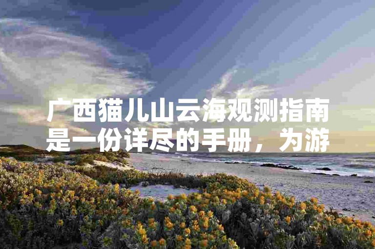 广西猫儿山云海观测指南是一份详尽的手册，为游客提供了关于如何欣赏猫儿山壮丽云海景观的最佳时间和地点的建议。