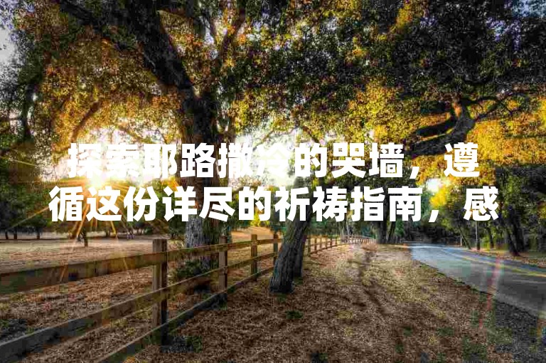 探索耶路撒冷的哭墙，遵循这份详尽的祈祷指南，感受千年信仰的力量。