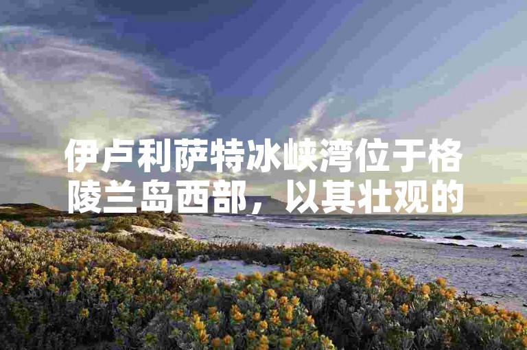伊卢利萨特冰峡湾位于格陵兰岛西部，以其壮观的冰川和独特的自然景观吸引着无数游客。