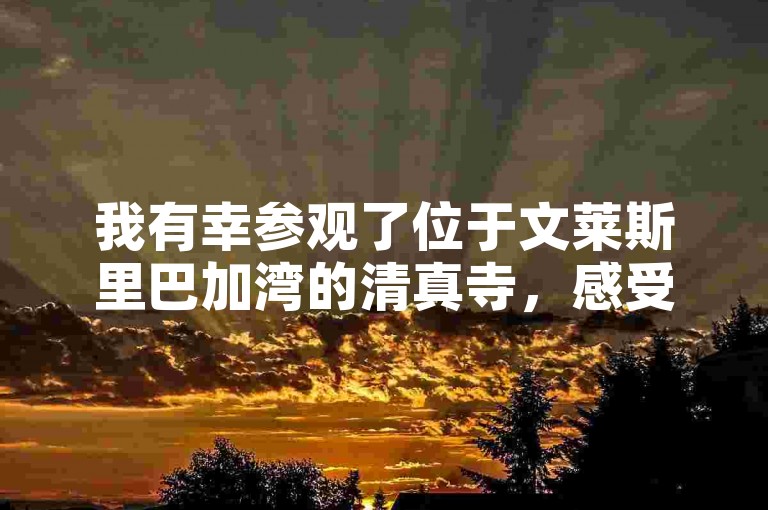 我有幸参观了位于文莱斯里巴加湾的清真寺，感受到了那里独特的文化氛围。