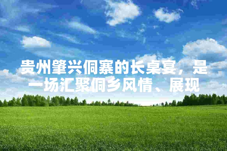 贵州肇兴侗寨的长桌宴，是一场汇聚侗乡风情、展现民族特色的盛大狂欢。