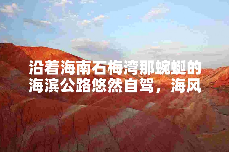 沿着海南石梅湾那蜿蜒的海滨公路悠然自驾，海风轻拂脸颊，一侧是碧波荡漾的大海，另一侧是葱郁繁茂的椰林，沿途风景如画，让人心旷神怡。