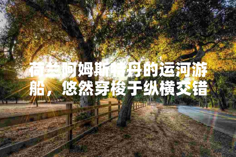 荷兰阿姆斯特丹的运河游船，悠然穿梭于纵横交错的水道之间，让游客惬意领略水城的独特风光。