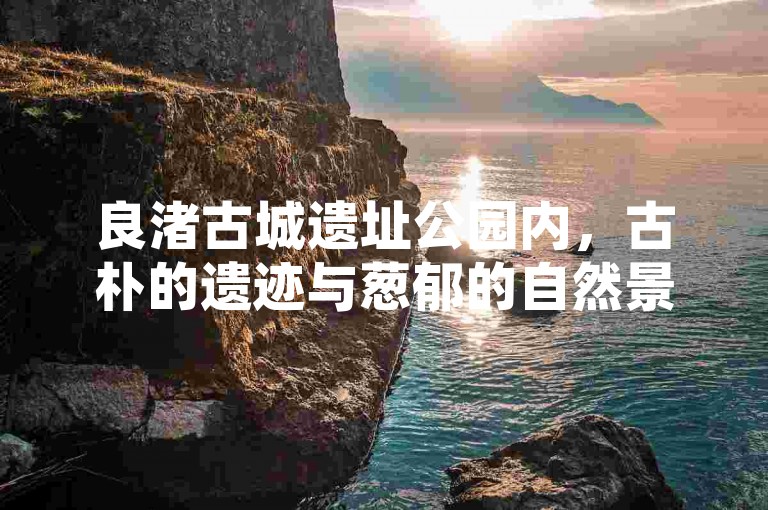 良渚古城遗址公园内，古朴的遗迹与葱郁的自然景观交织，漫步其间仿若穿越时空，感受古老文明的独特魅力。