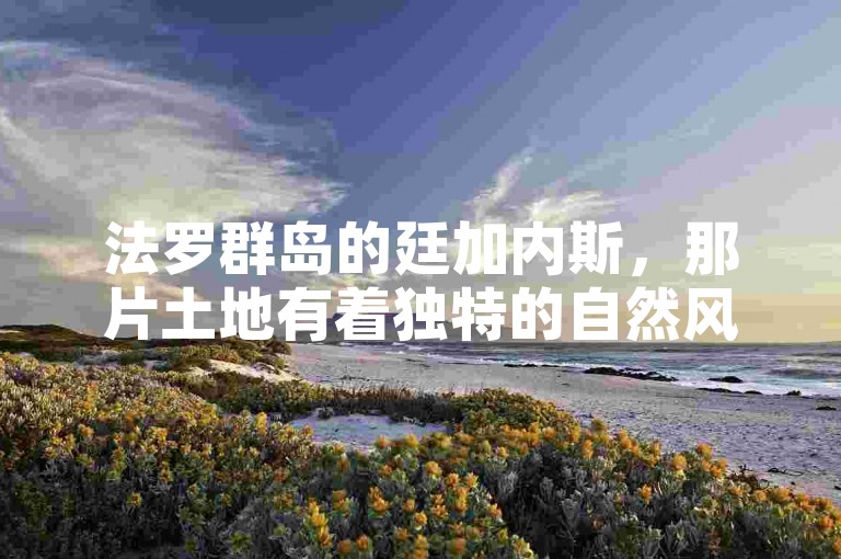 法罗群岛的廷加内斯，那片土地有着独特的自然风貌与人文气息。