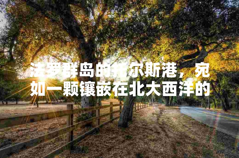 法罗群岛的托尔斯港，宛如一颗镶嵌在北大西洋的明珠，散发着独特的海洋气息与宁静魅力。