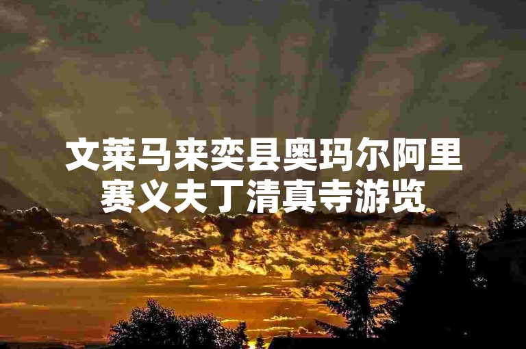 文莱马来奕县奥玛尔阿里赛义夫丁清真寺游览