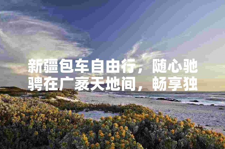 新疆包车自由行，随心驰骋在广袤天地间，畅享独特风光与自在旅程。