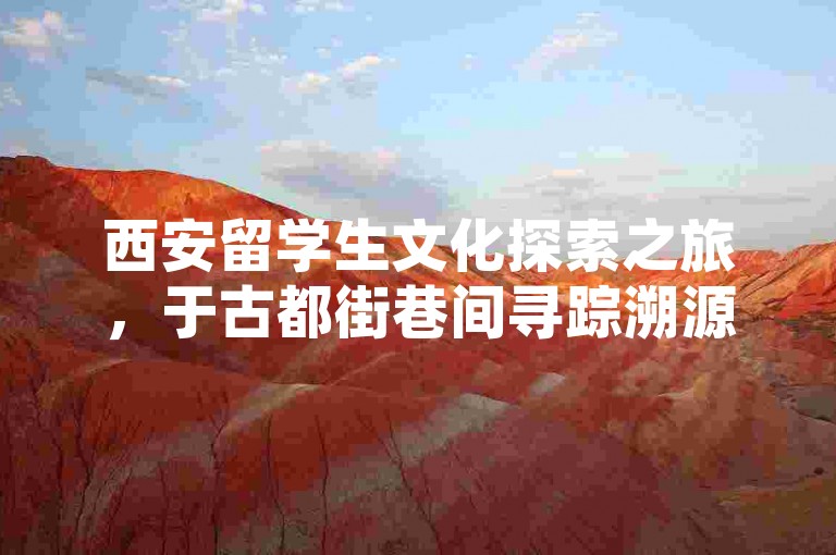西安留学生文化探索之旅，于古都街巷间寻踪溯源，在历史遗迹中感悟华夏文明，借多元交流共谱中外融合新篇。