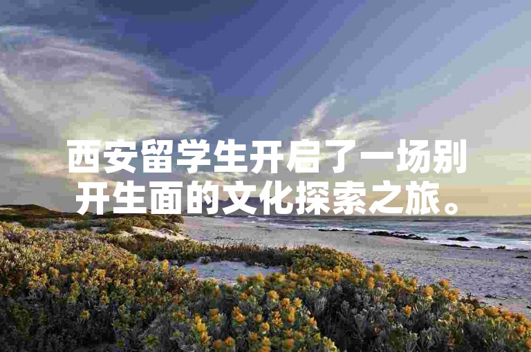 西安留学生开启了一场别开生面的文化探索之旅。
