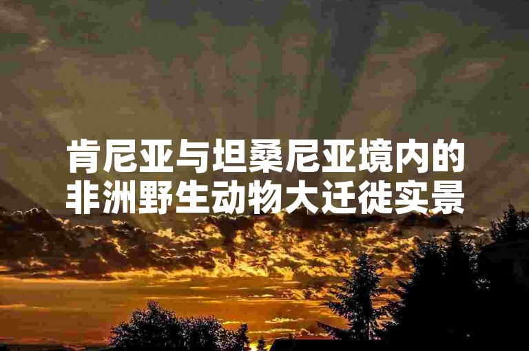 肯尼亚与坦桑尼亚境内的非洲野生动物大迁徙实景追踪考察