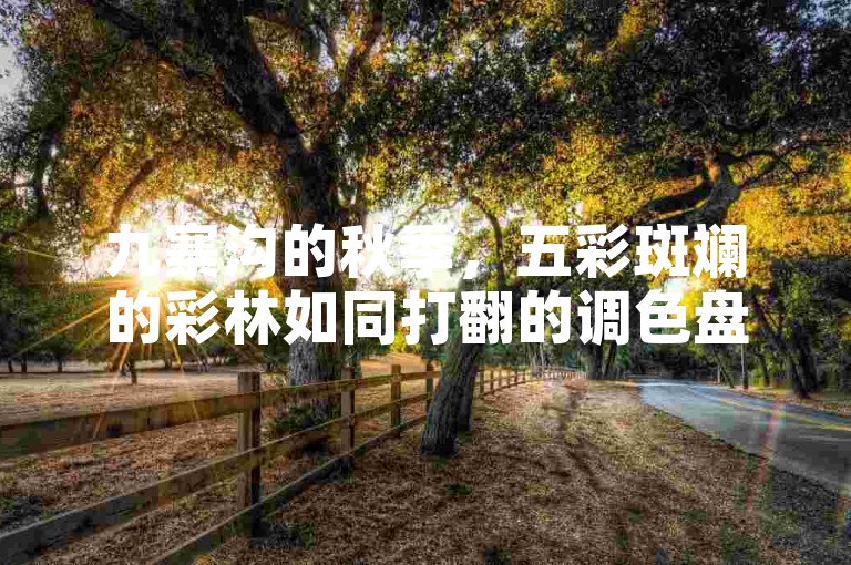 九寨沟的秋季，五彩斑斓的彩林如同打翻的调色盘，是摄影爱好者捕捉自然奇幻之美的绝佳之地。