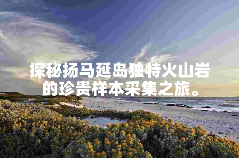 探秘扬马延岛独特火山岩的珍贵样本采集之旅。