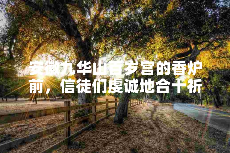 安徽九华山百岁宫的香炉前，信徒们虔诚地合十祈福。
