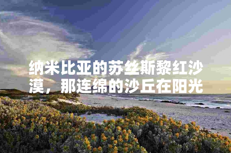 纳米比亚的苏丝斯黎红沙漠，那连绵的沙丘在阳光照耀下呈现出如梦如幻的橙红色，仿佛是大自然用最热烈的色彩绘制的壮丽画卷。