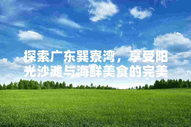探索广东巽寮湾，享受阳光沙滩与海鲜美食的完美海滨度假之旅。