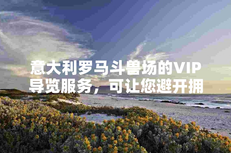 意大利罗马斗兽场的VIP导览服务，可让您避开拥挤人群，深入探寻这座古老建筑背后不为人知的历史奥秘与传奇故事。